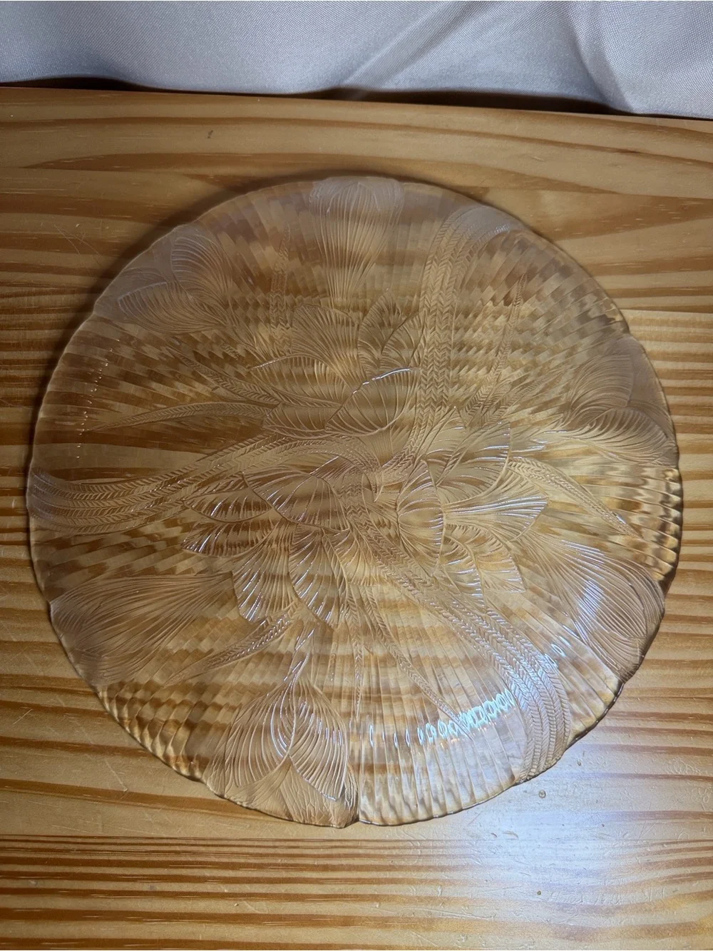 Vintage Arcoroc France Canterbury Crocus Clear Glass 2 - Dinner Plates